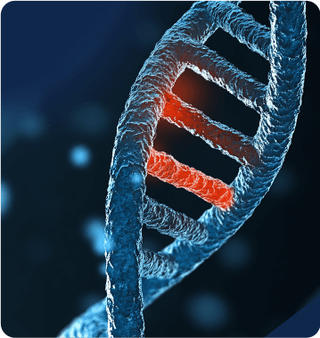 Site-directedMutagenesis