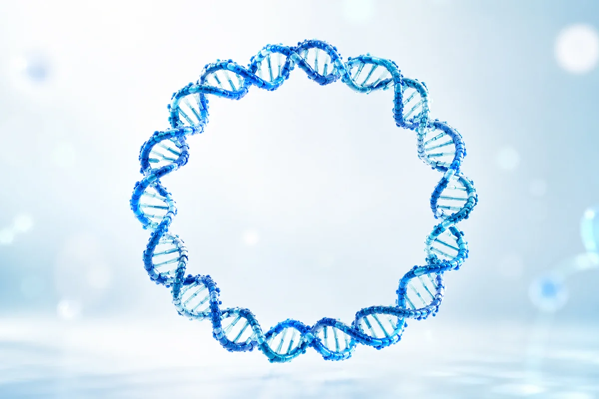 Sequence-to-Construct