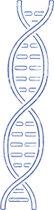 Sequence-to-Construct