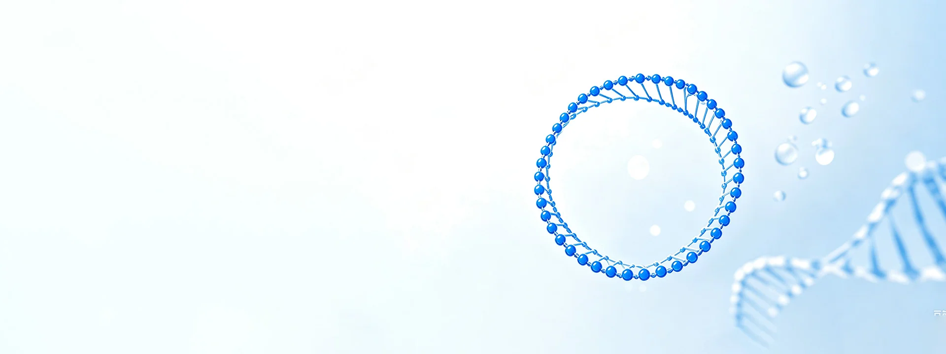 Custom Circular Single-Stranded DNA Synthesis