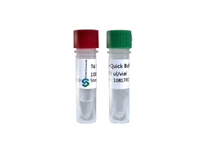 T4 DNA Ligase and Quick buffer