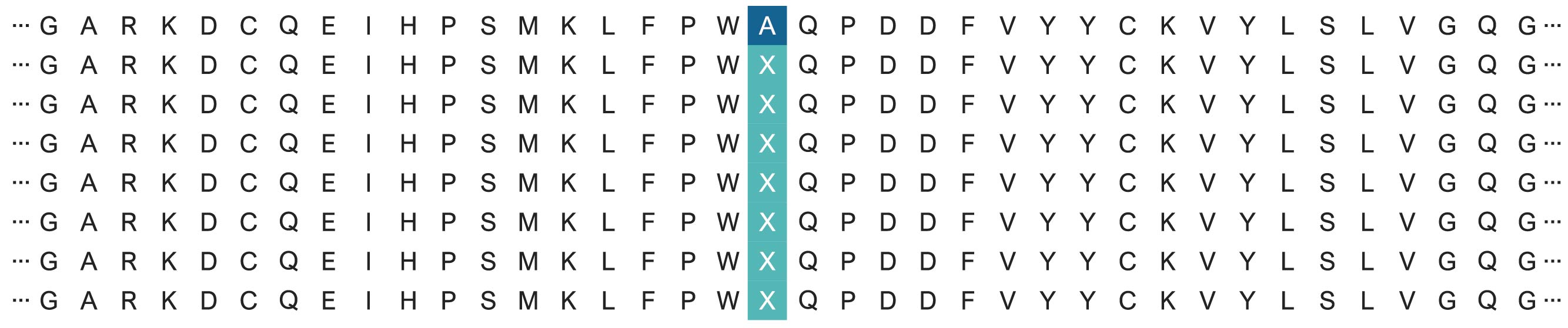 Site-directed-Mutagenesis-Library