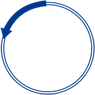 Plasmid_Prep