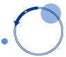 Vector