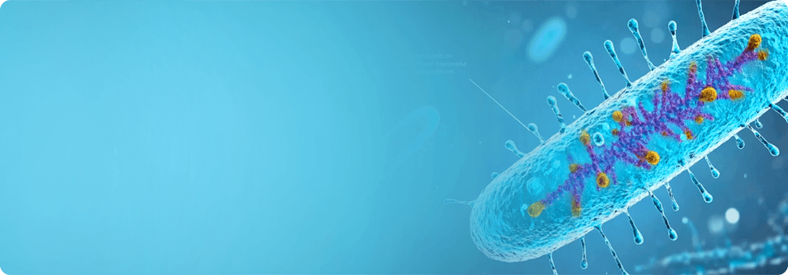 Molecular_Biology_plasmid
