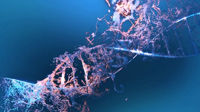 Gene Synthesis