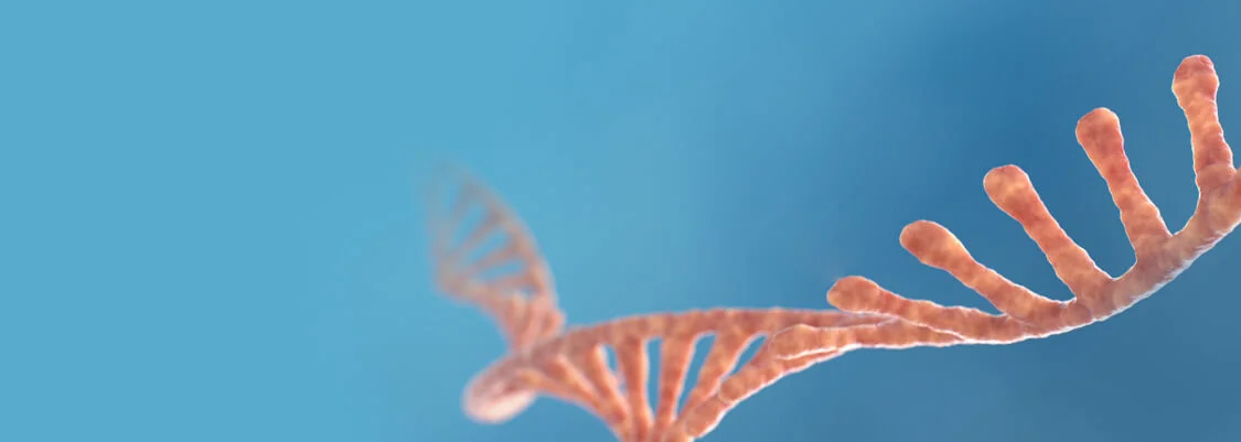 Single-Stranded DNA Synthesis