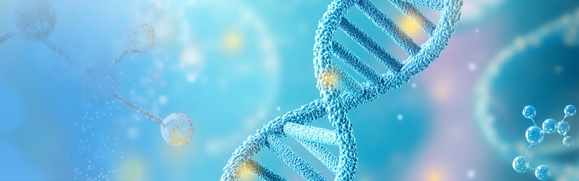 Molecular Biology Service