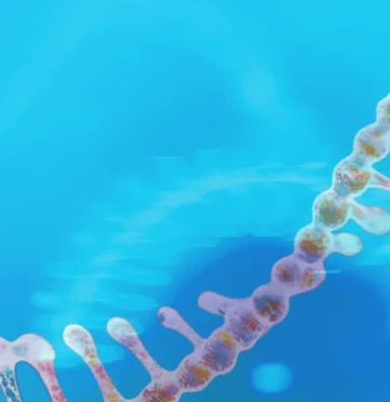 synthetic_sgRNA_banner