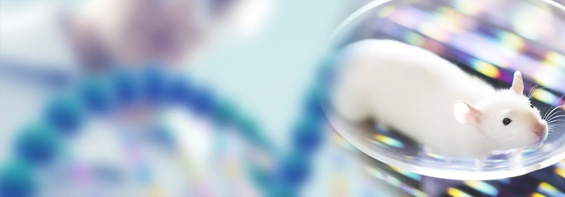 Mammalian Expression Service