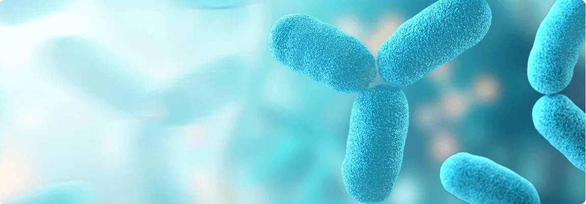 Recombinant-Protein-Expression-Bacterial