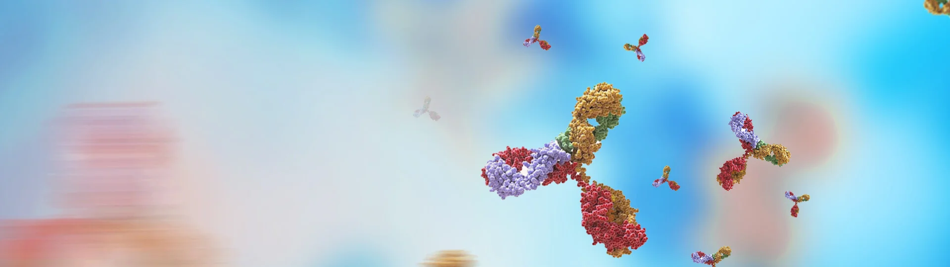 Large Scale Antibody Production