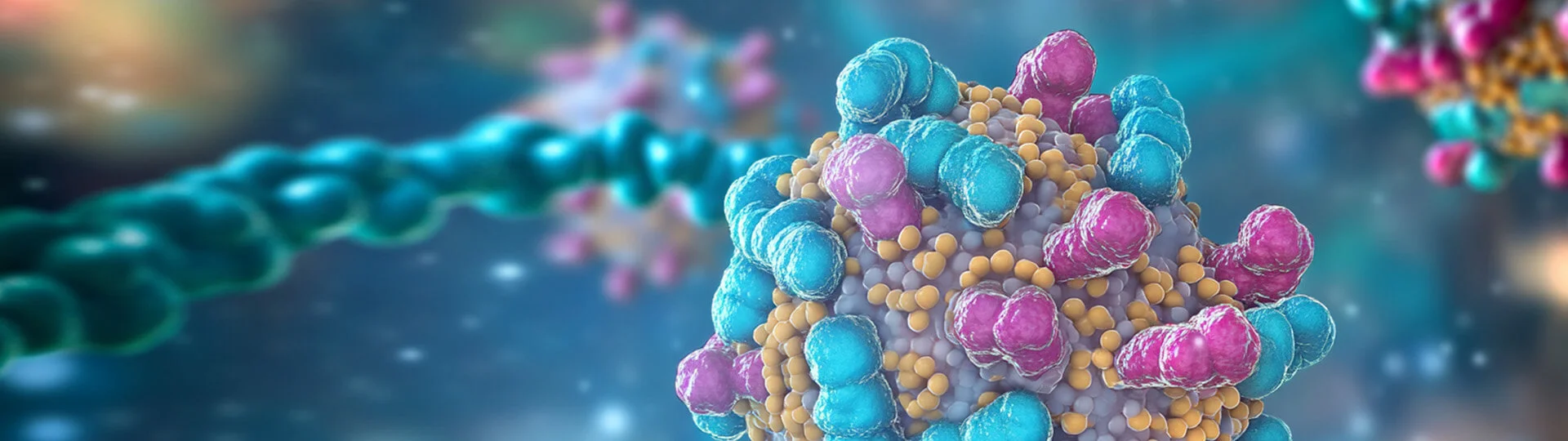 Adeno-Associated Virus (AAV) Packaging