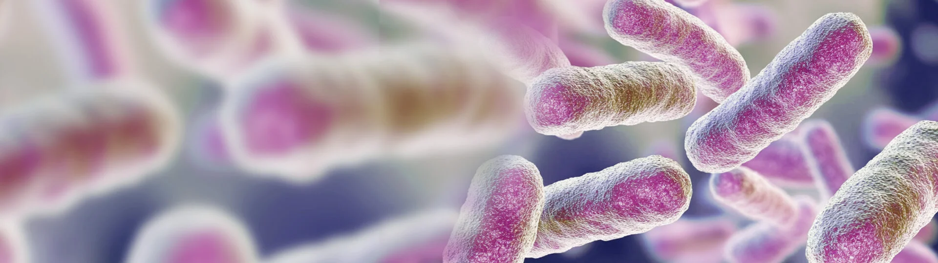 Bacterial Expression