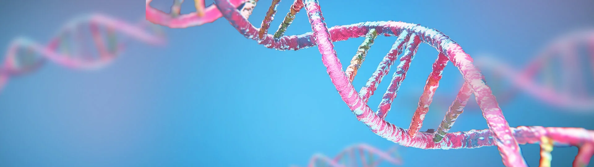 DNA Cloning