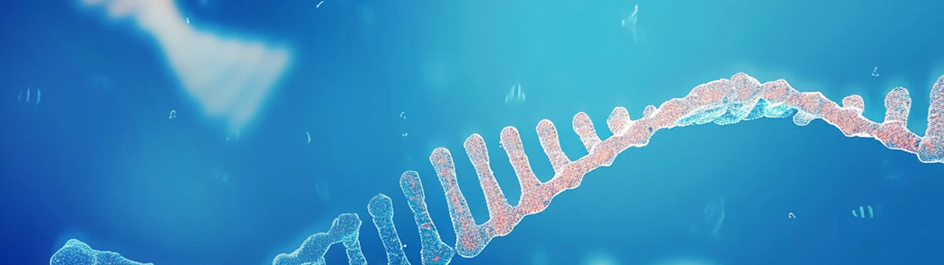 Single-Stranded DNA Synthesis