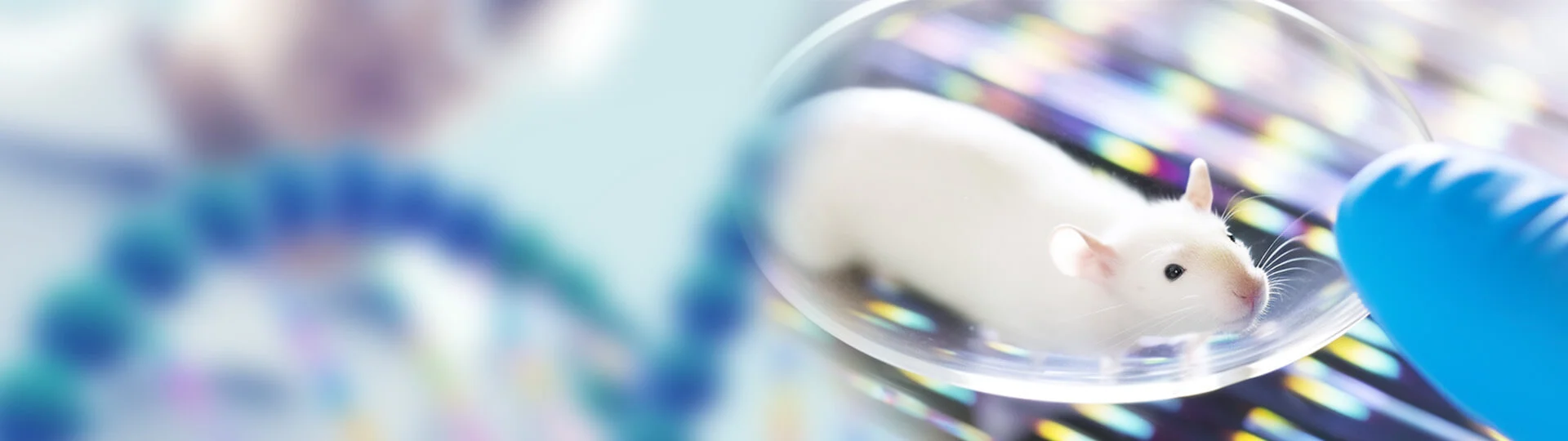 mammalian_expression_banner