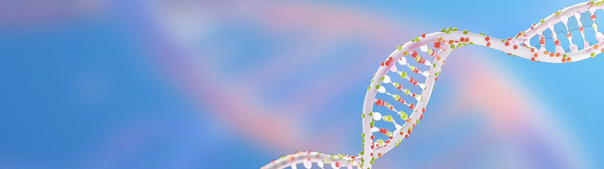 qPCR Probes  Oligo Modifications