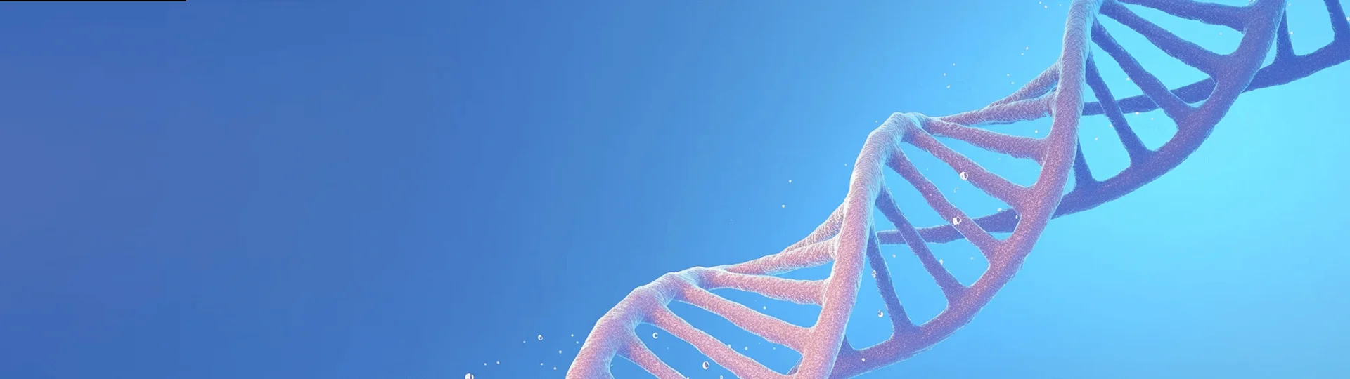 gene fragments