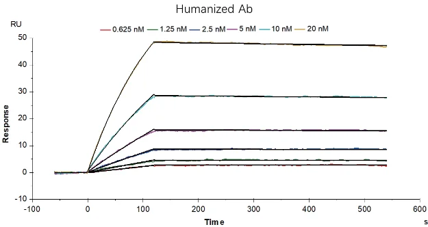 parent-antibody