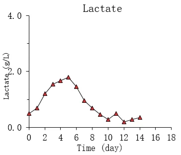 lactate
