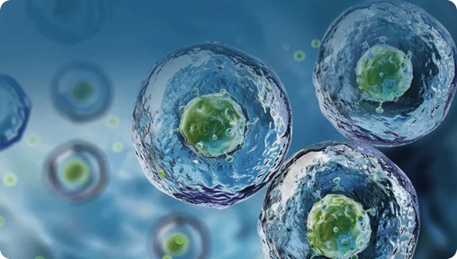 Protein Expression