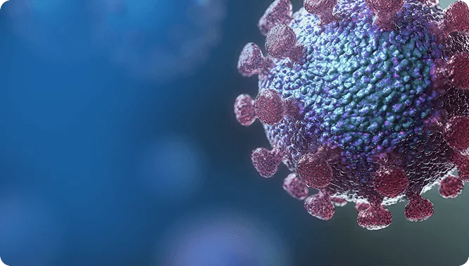 Viral Delivery System