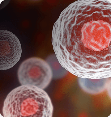 Mammalian Cells