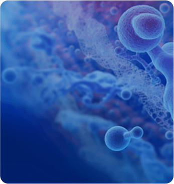 Reagents_for_Molecular_Diagnosis