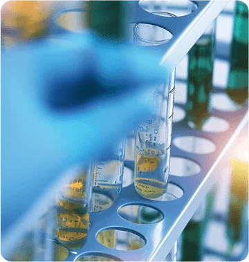 Custom DNA Oligo Synthesis