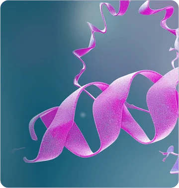 Custom RNA Oligo Synthesis