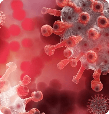 viral_delivery_adenovirus